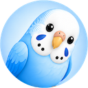 ChatBudgie avatar