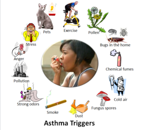 Teenager Dies of Asthma Attack After Delay in Sending Ambulance