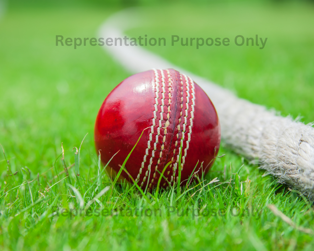 cricket