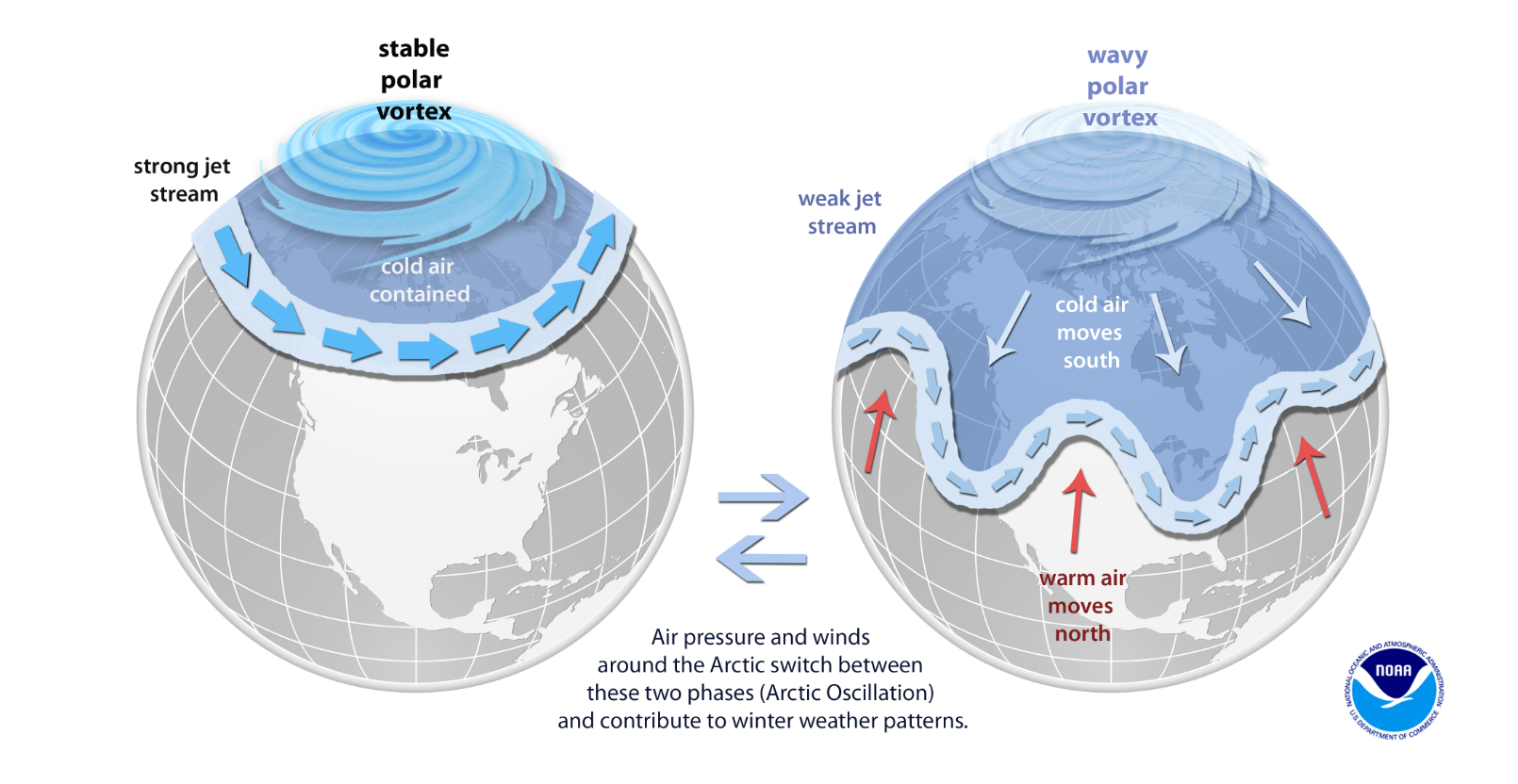 polar votex