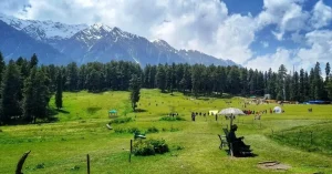 Hindu Council of New Zealand Condemns Pahalgam Terror Attack, Calls for Global Action