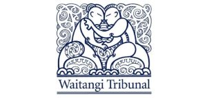What Is the Waitangi Tribunal? History, Function, and Operations