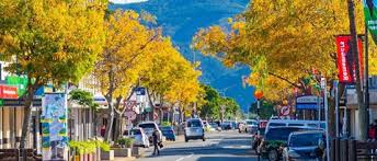 Upper Hutt City Council 2025 Election: Comprehensive Candidate Guide, Key Issues, Voting Deadlines, and Profiles